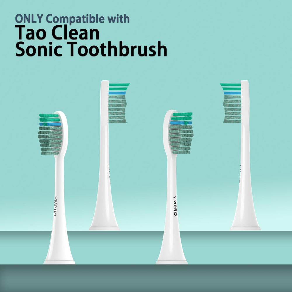 Close-up of YMPBO replacement head with medium bristles