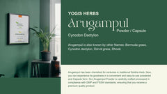 Back of container with product information