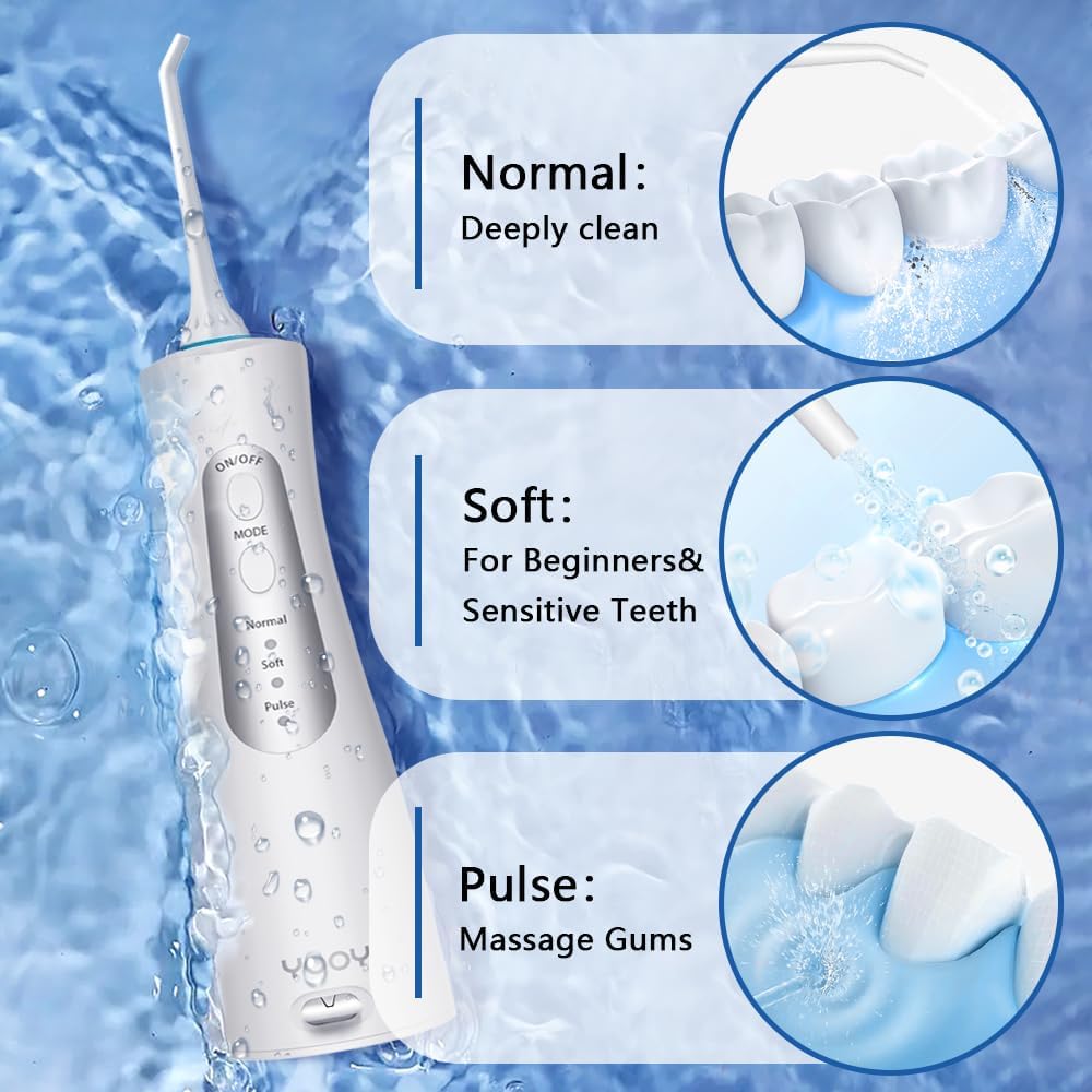 Portable travel-ready case with water flosser and tips