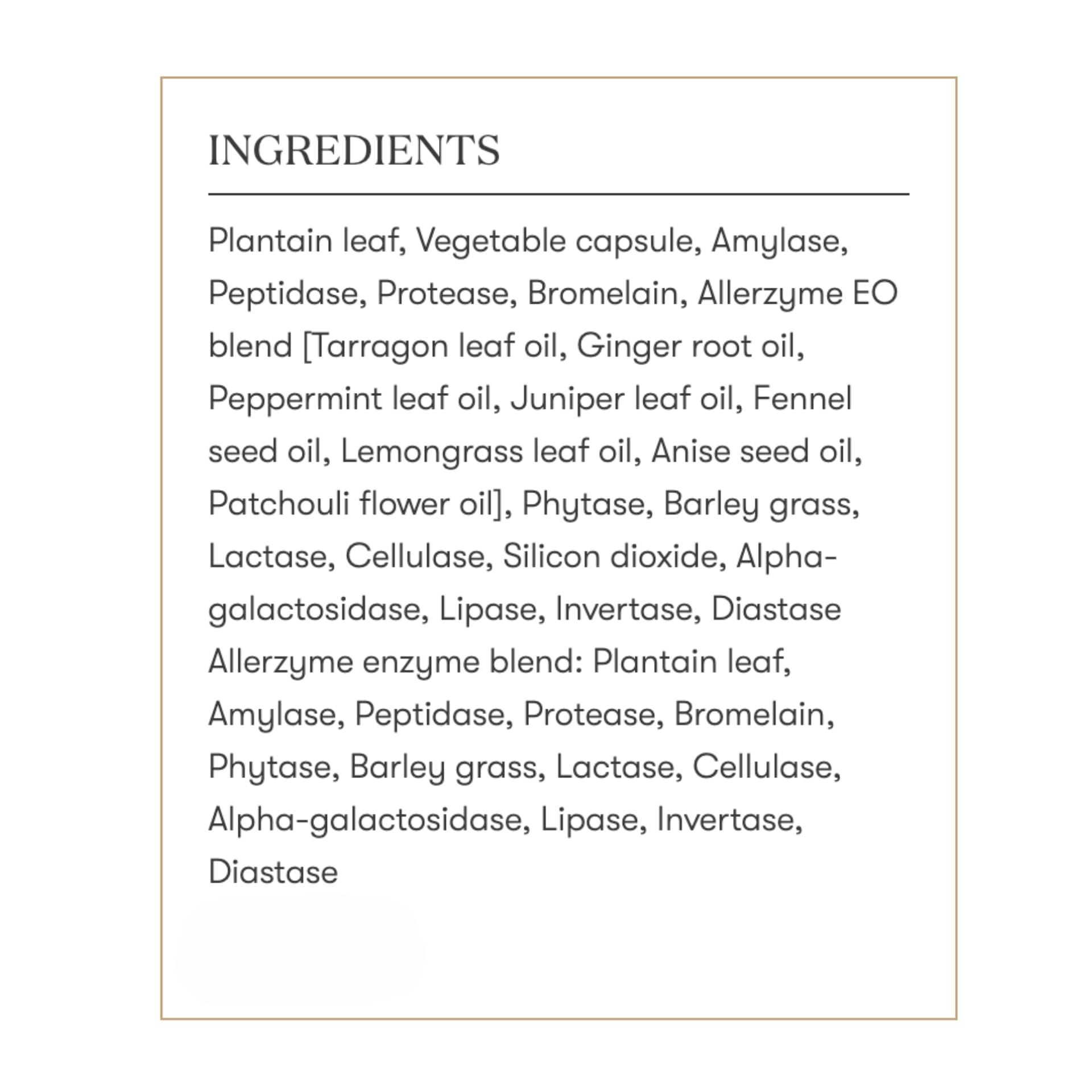 Product shot emphasizing vegetarian-friendly Allerzyme formula