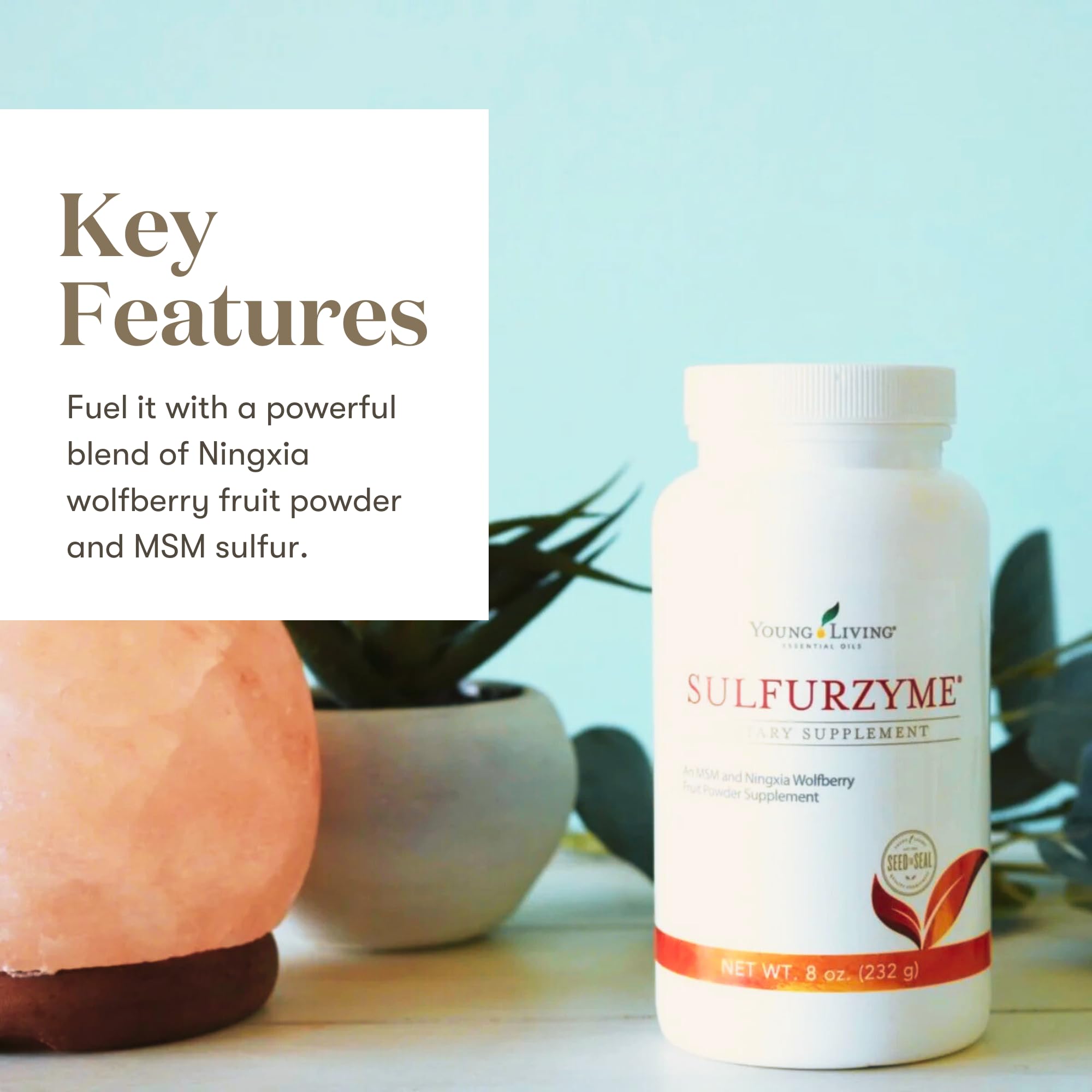 Sulfurzyme Powder 8 oz label and packaging