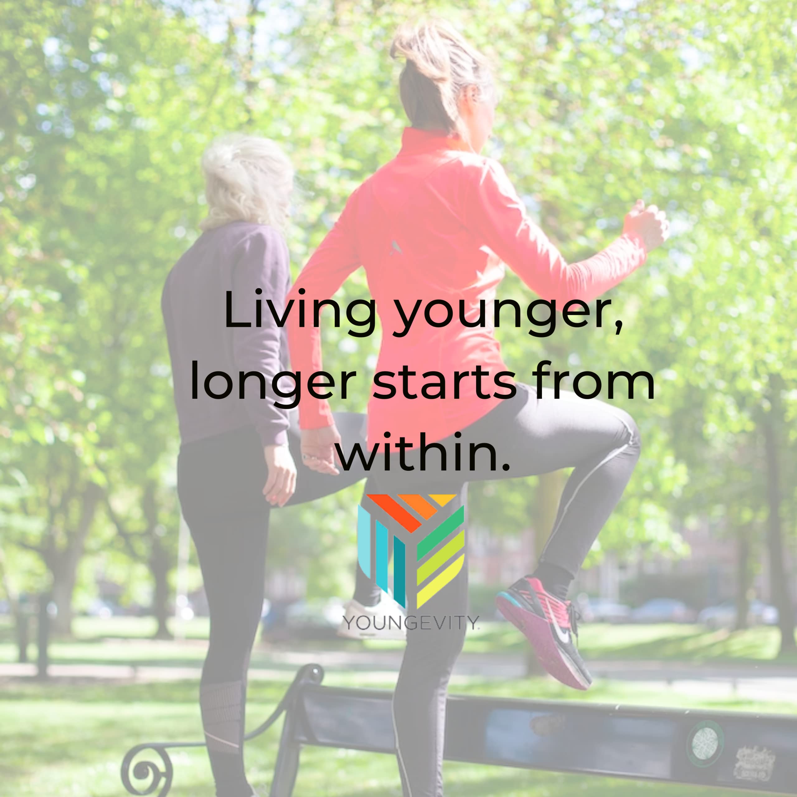 Dr. Wallach's 90 Essentials reference for BTT 2.5