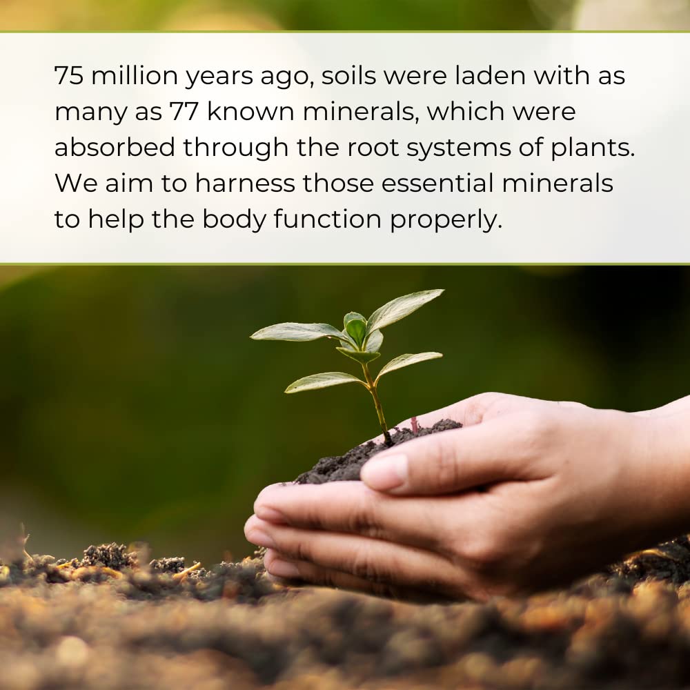 Bottle and dropper of Youngevity Plant Derived Liquid Minerals