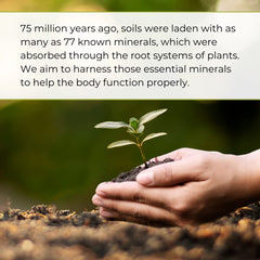 Bottle and dropper of Youngevity Plant Derived Liquid Minerals