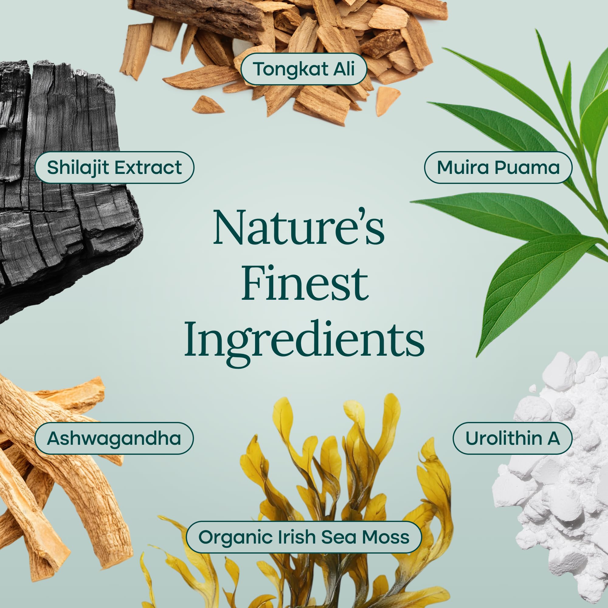 Active adults enjoying daily vitality with supplement