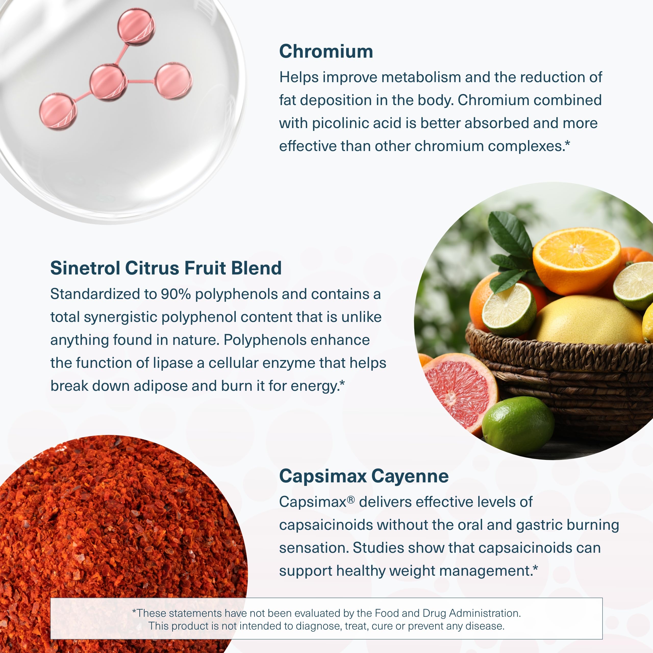 Illustration of citrus fruits representing the Citrus Fruit Blend