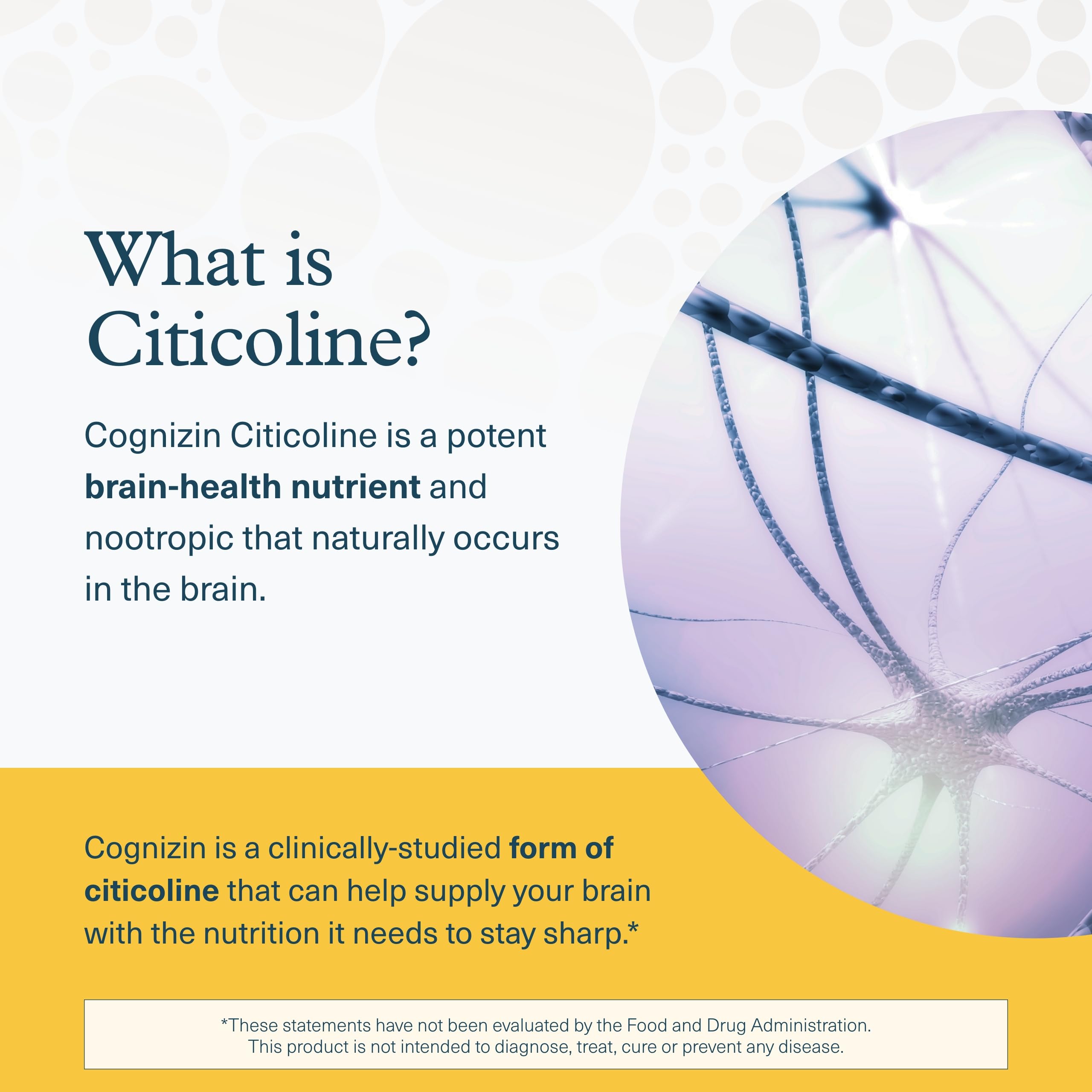 Nutrition facts label on Youtheory Lion's Mane Plus packaging