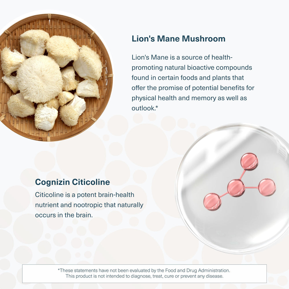 Brain health concept graphic associated with Lion's Mane+