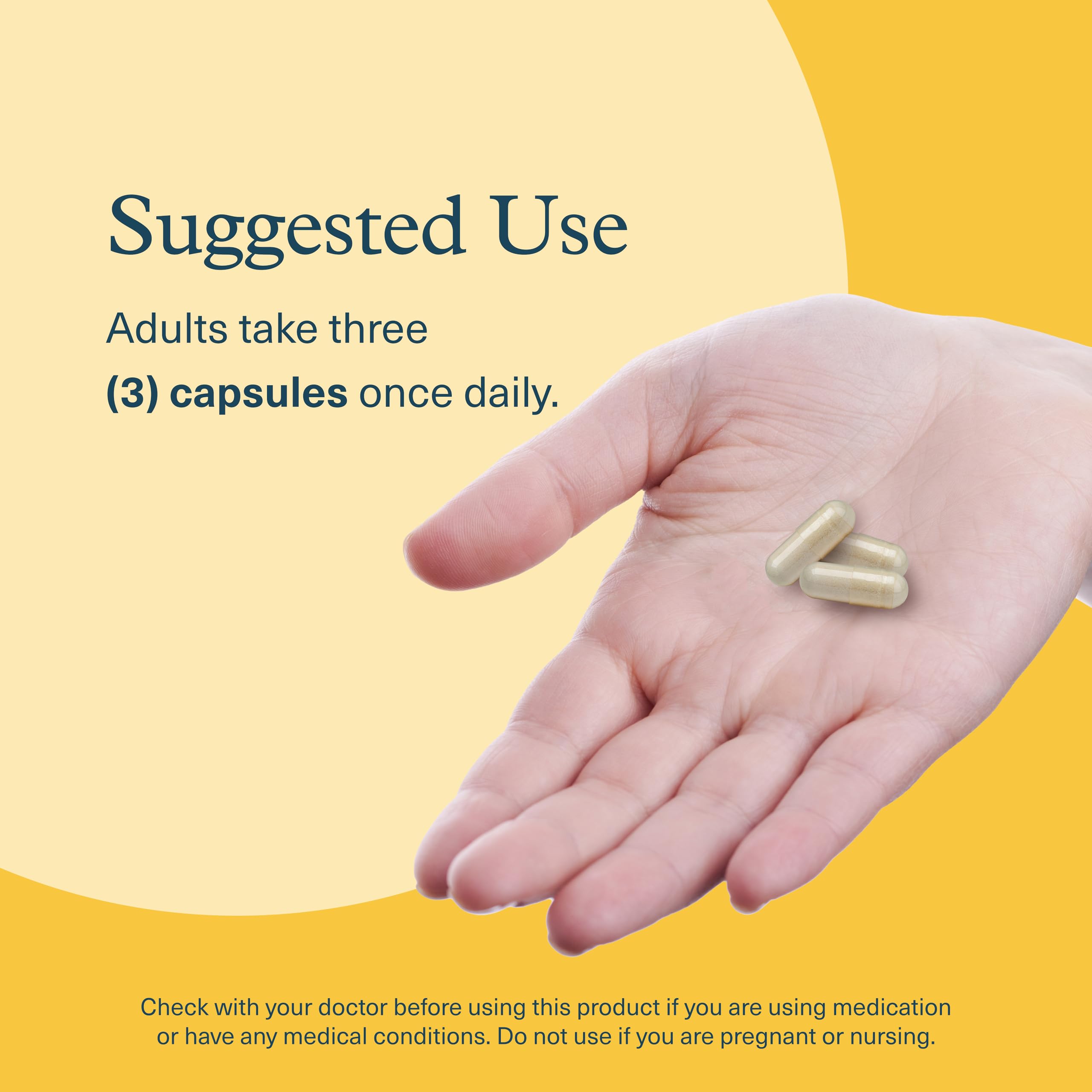 Focus and attention concept with Lion's Mane+ capsules