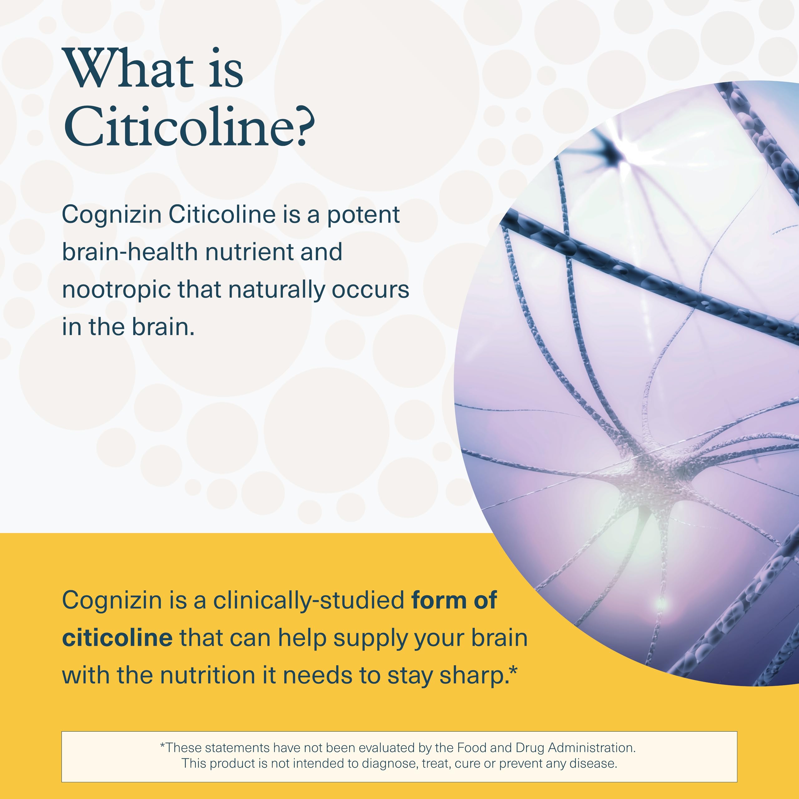 Organic lion's mane mushroom imagery for the supplement