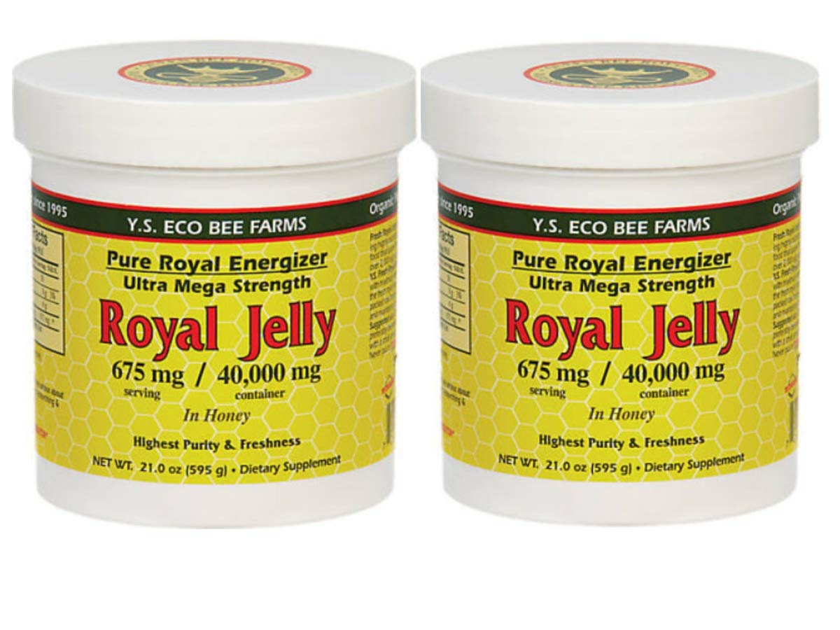 Y.S. Eco Bee Farms Royal Jelly in Honey 675 mg – 2 Pack front view