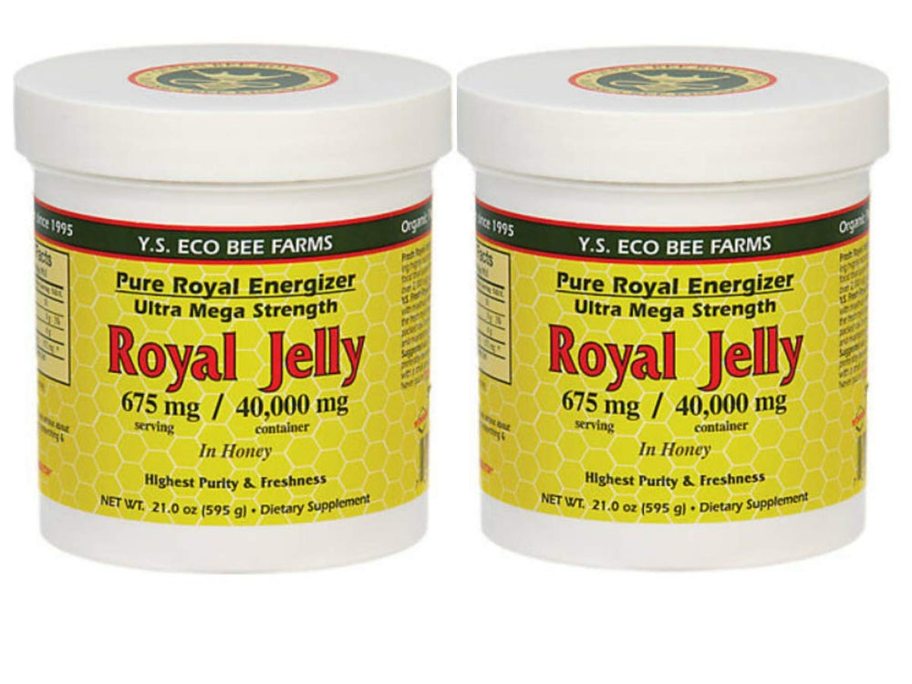 Y.S. Eco Bee Farms Royal Jelly in Honey 675 mg – 2 Pack front view