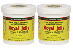 Y.S. Eco Bee Farms Royal Jelly in Honey 675 mg – 2 Pack front view