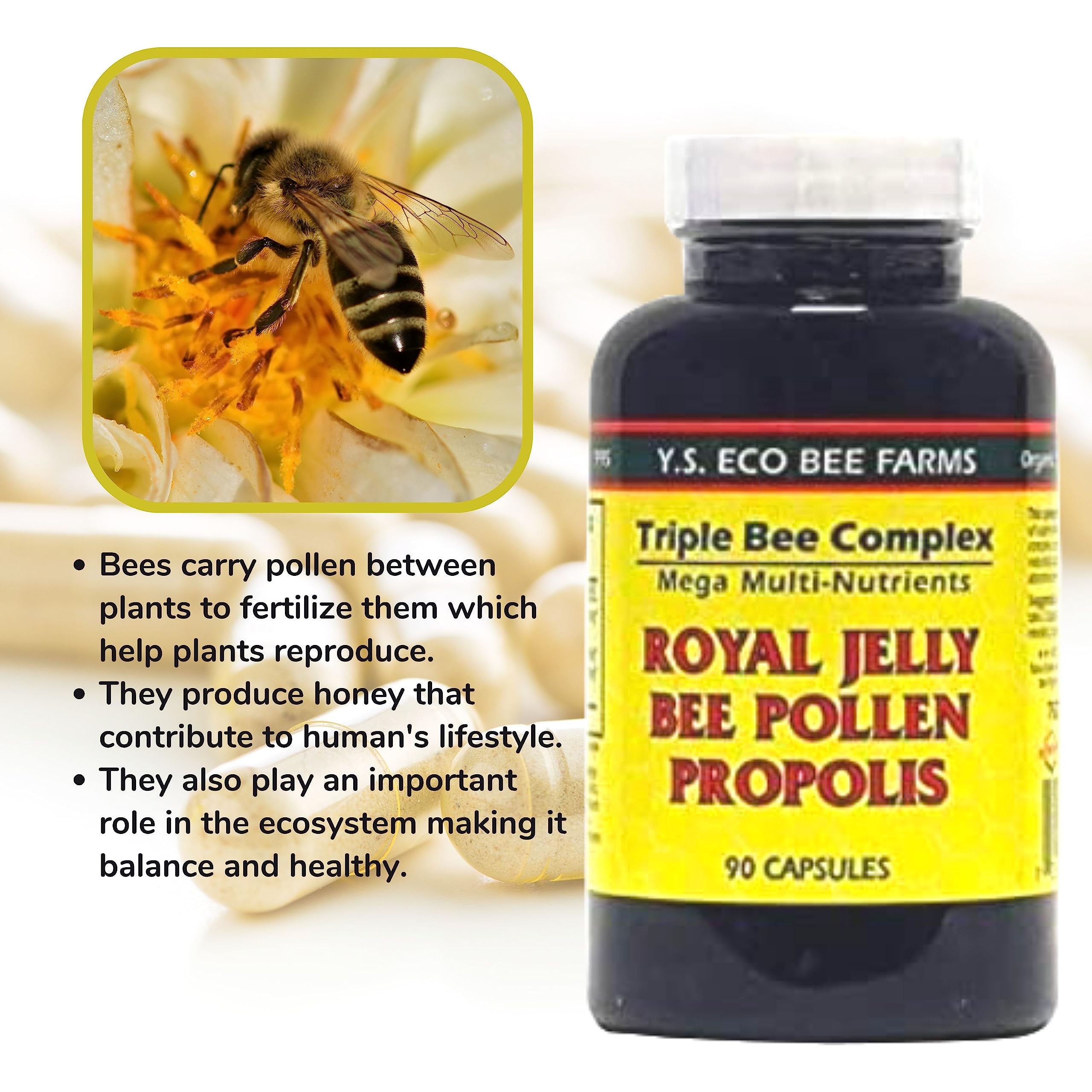 Natural bee-friendly ingredients surrounding the product