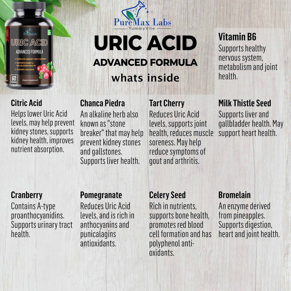 Illustration of key herbal ingredients in the formula