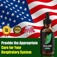 Recommended usage for YUMOYI Chlorophyll & Mullein Drops