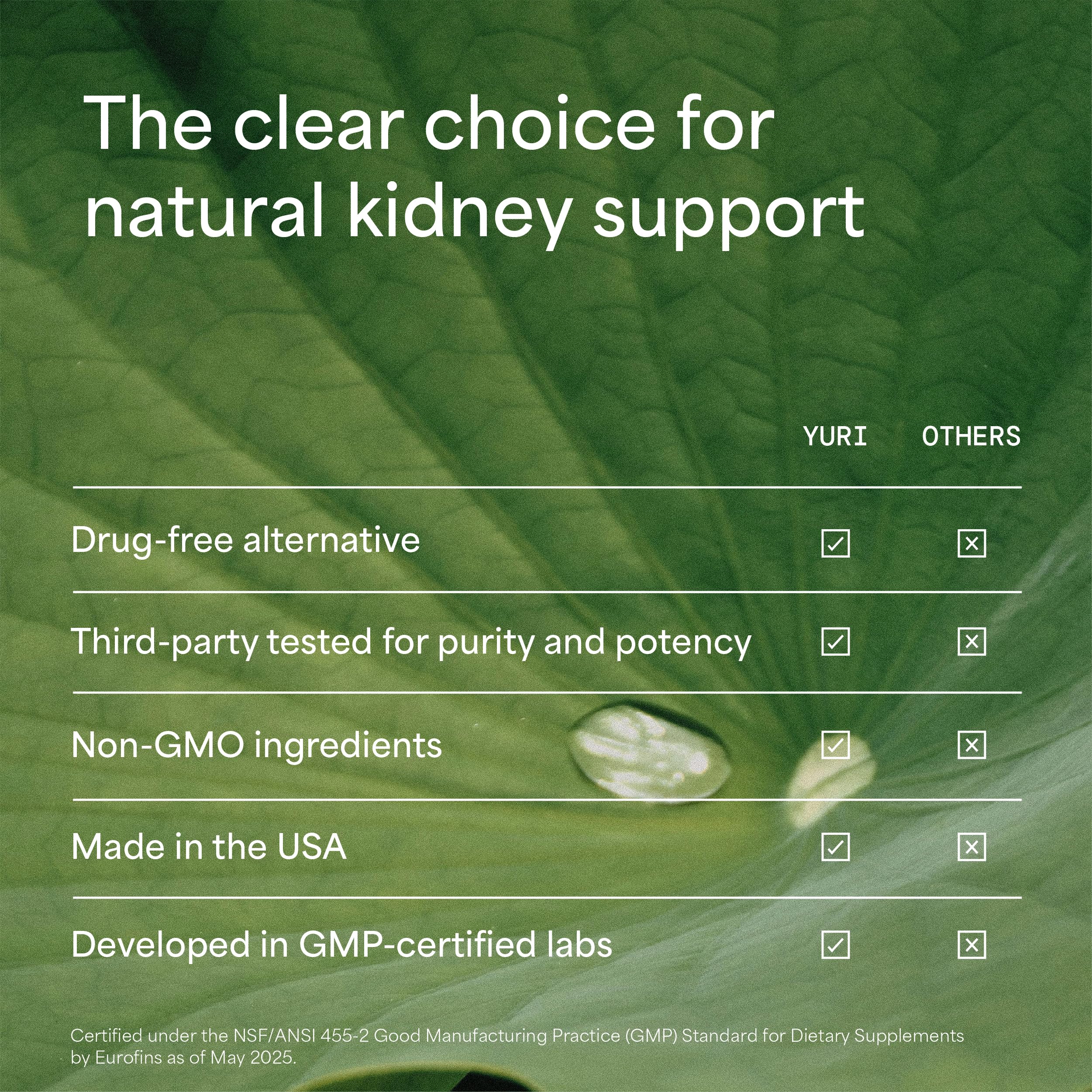 Yuri Care Pomegranate Extract Capsules close-up emphasizes antioxidant-rich detox support.