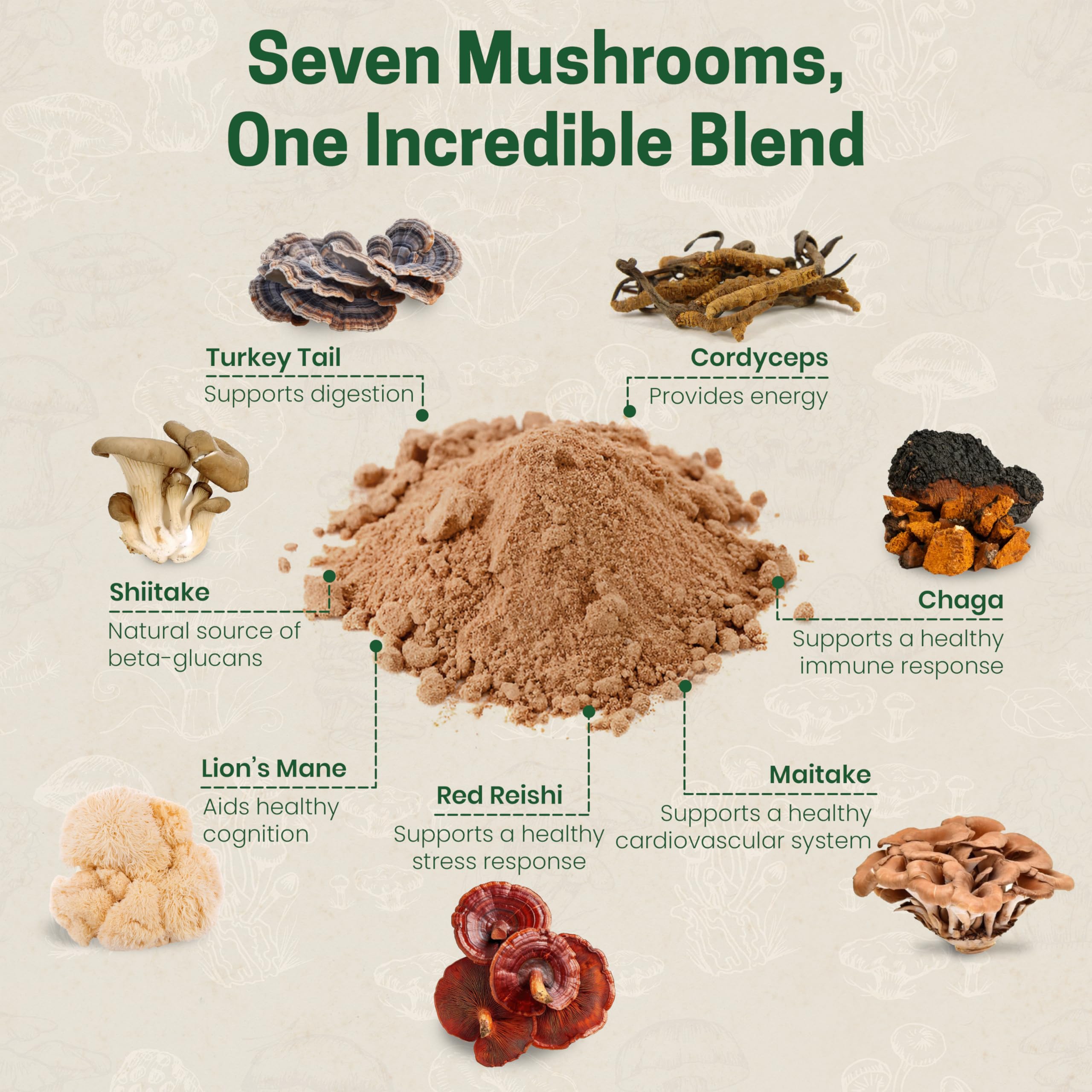 Illustration of seven mushrooms included in the blend