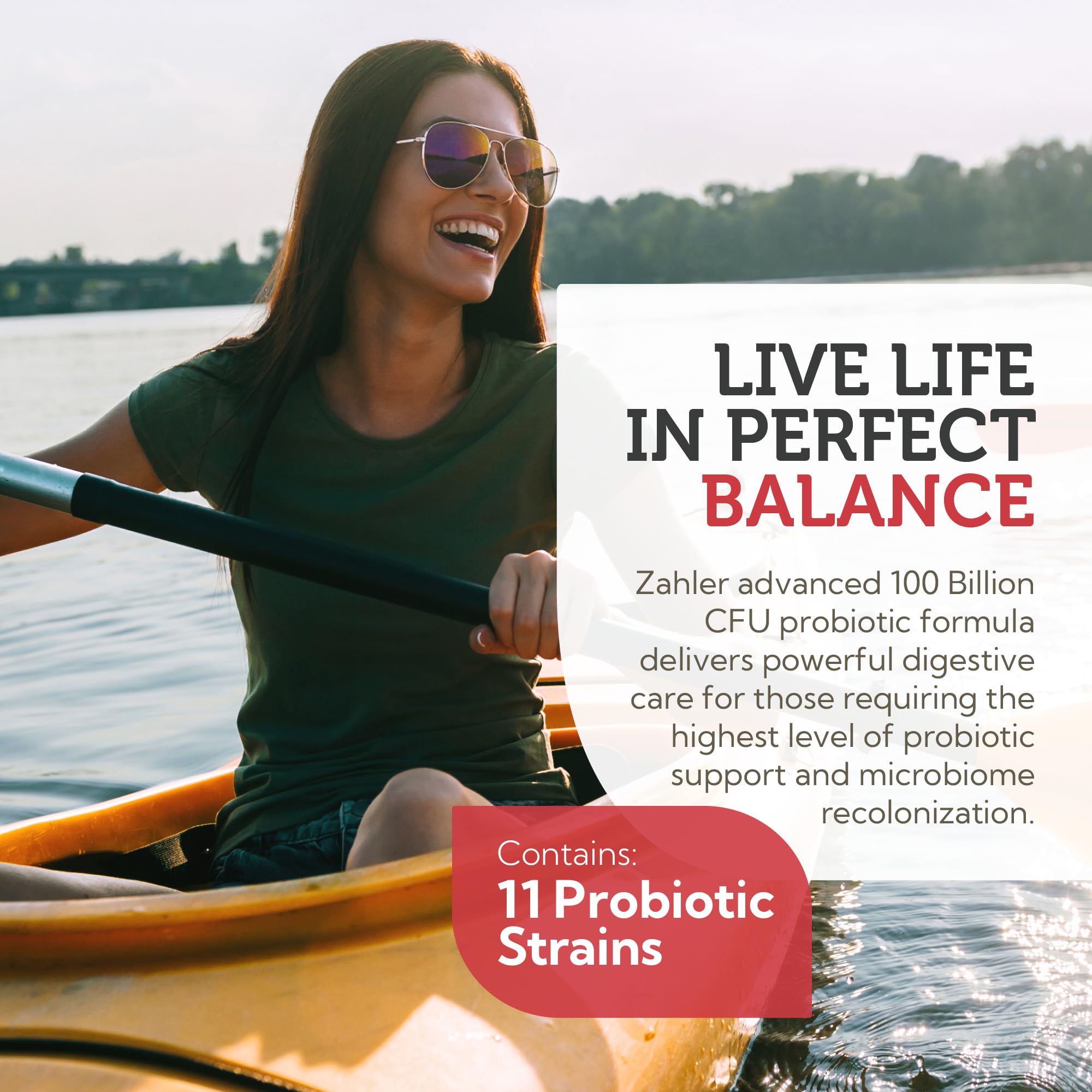 Graphic illustrating gut health benefits of BioDophilus100