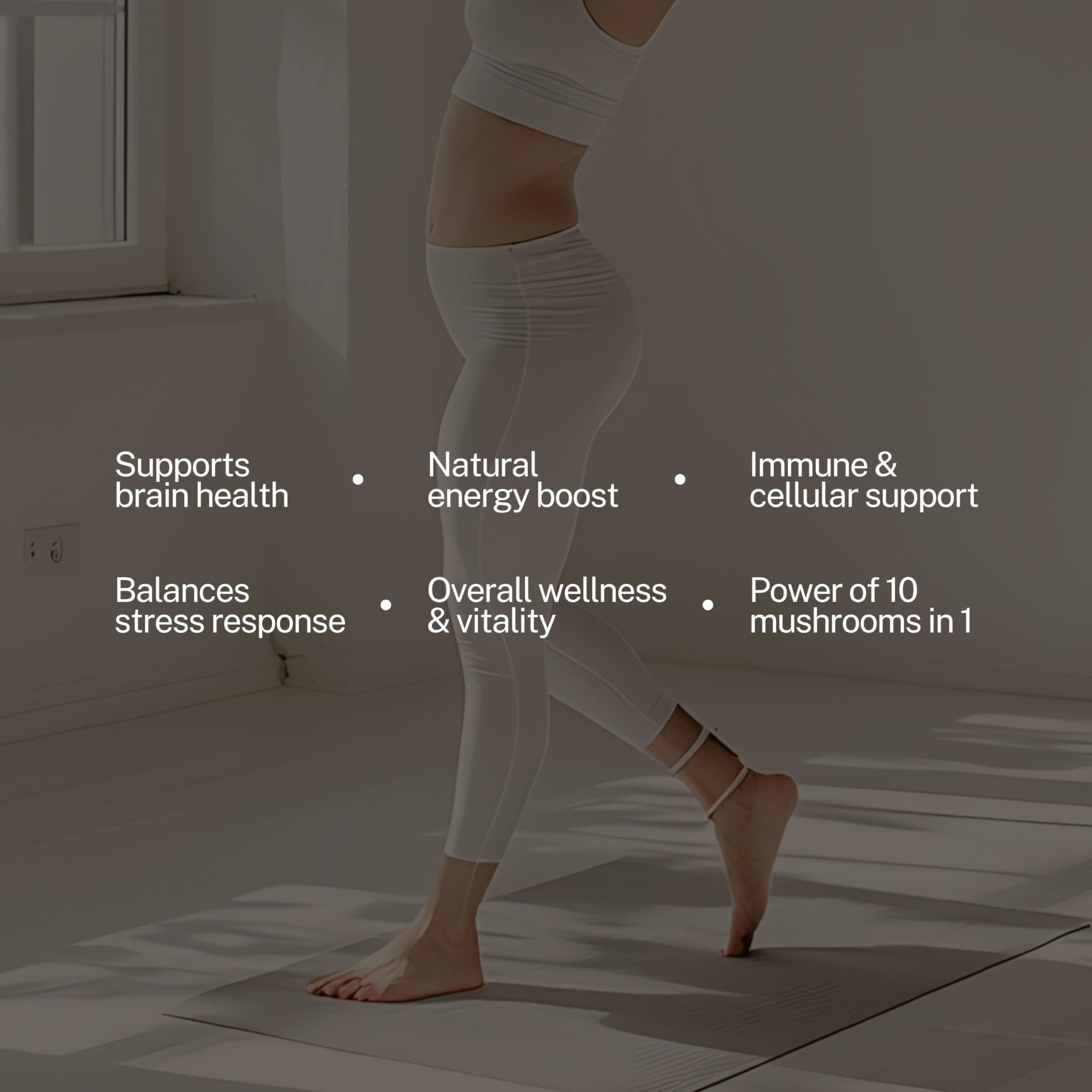 Nutritional label for Zahler Chapter Six 10-in-1 Mushroom Complex