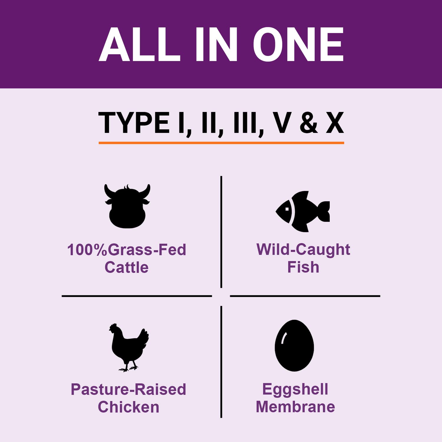 Keto and Paleo friendly label for Zammex collagen