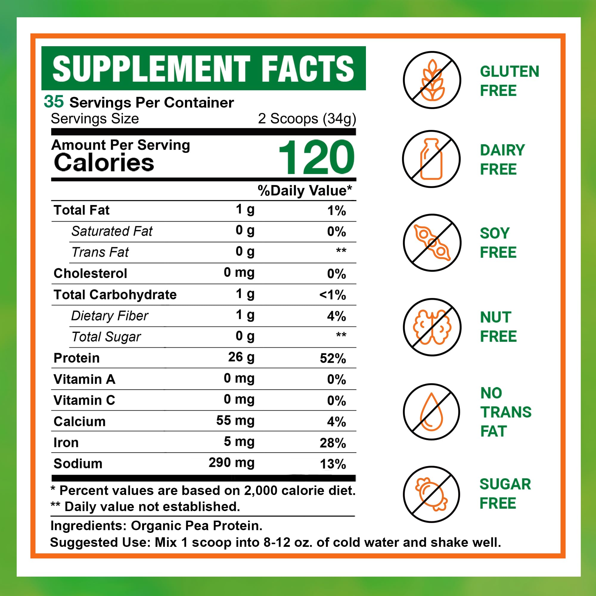 Zammex Organic Pea Protein Powder scoop showing convenient serving for smoothies.