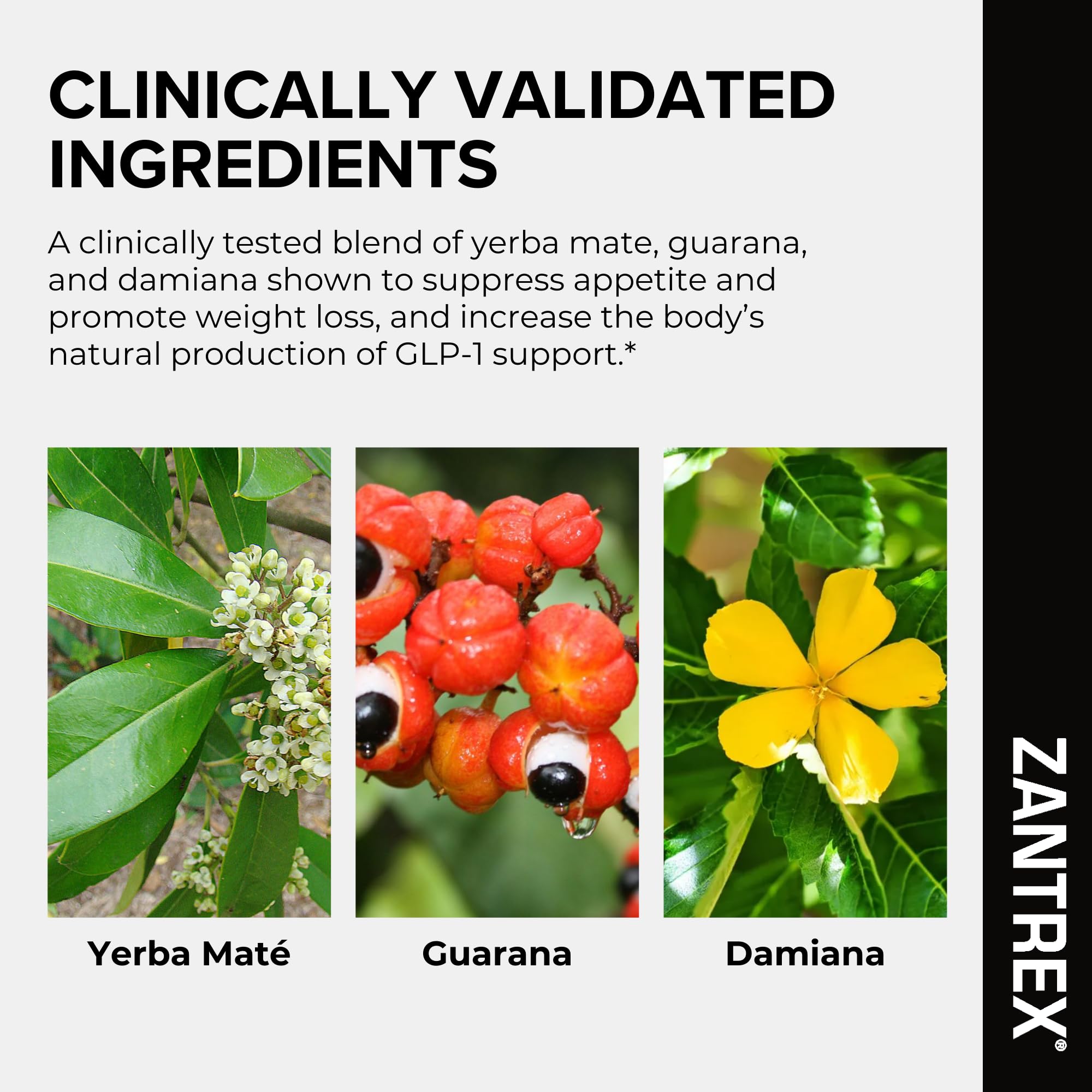 Extended shot of Zantrex Black pills