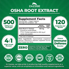 Close-up of 500 mg Osha Root extract capsule