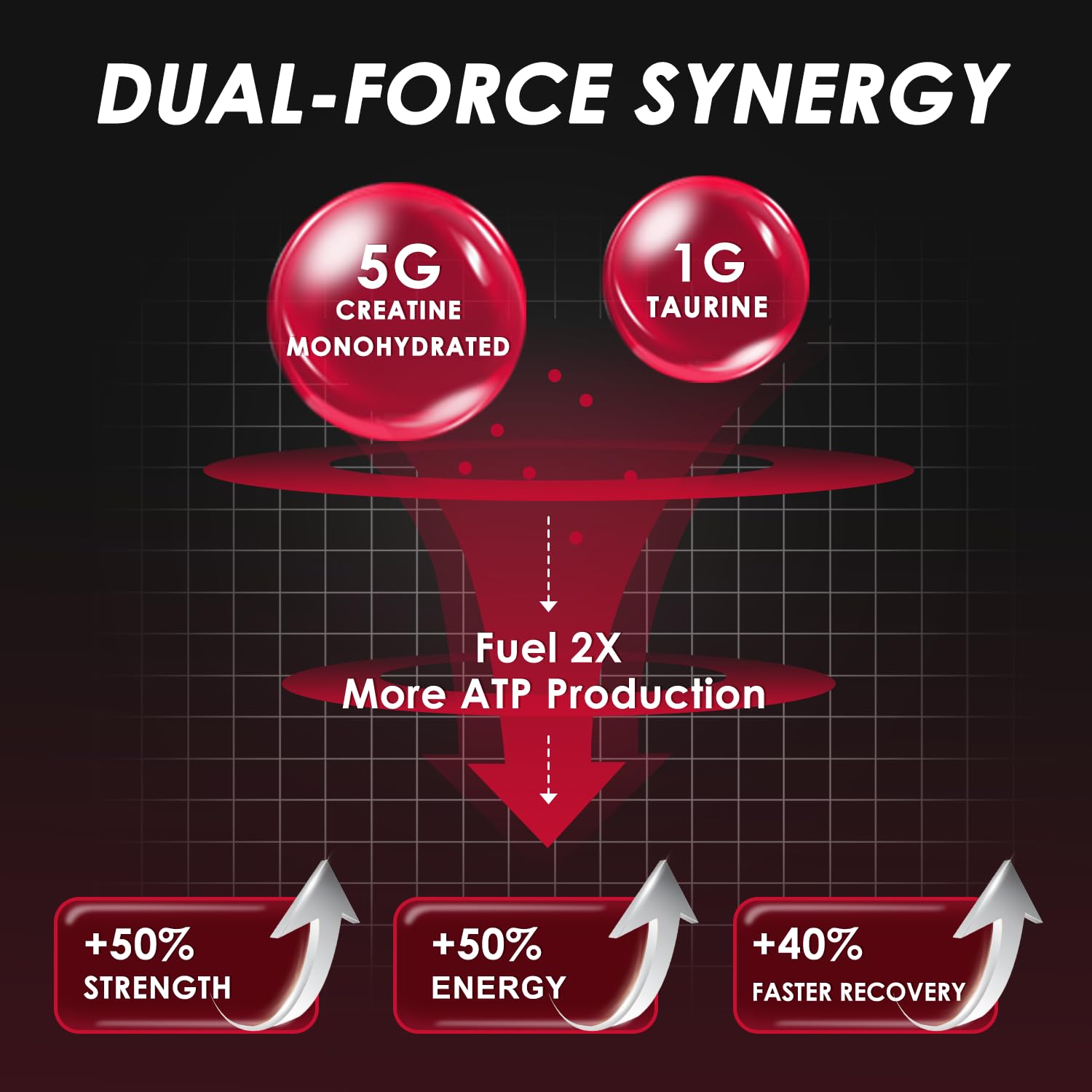 ZEBORA Creatine Monohydrate powder with scoop