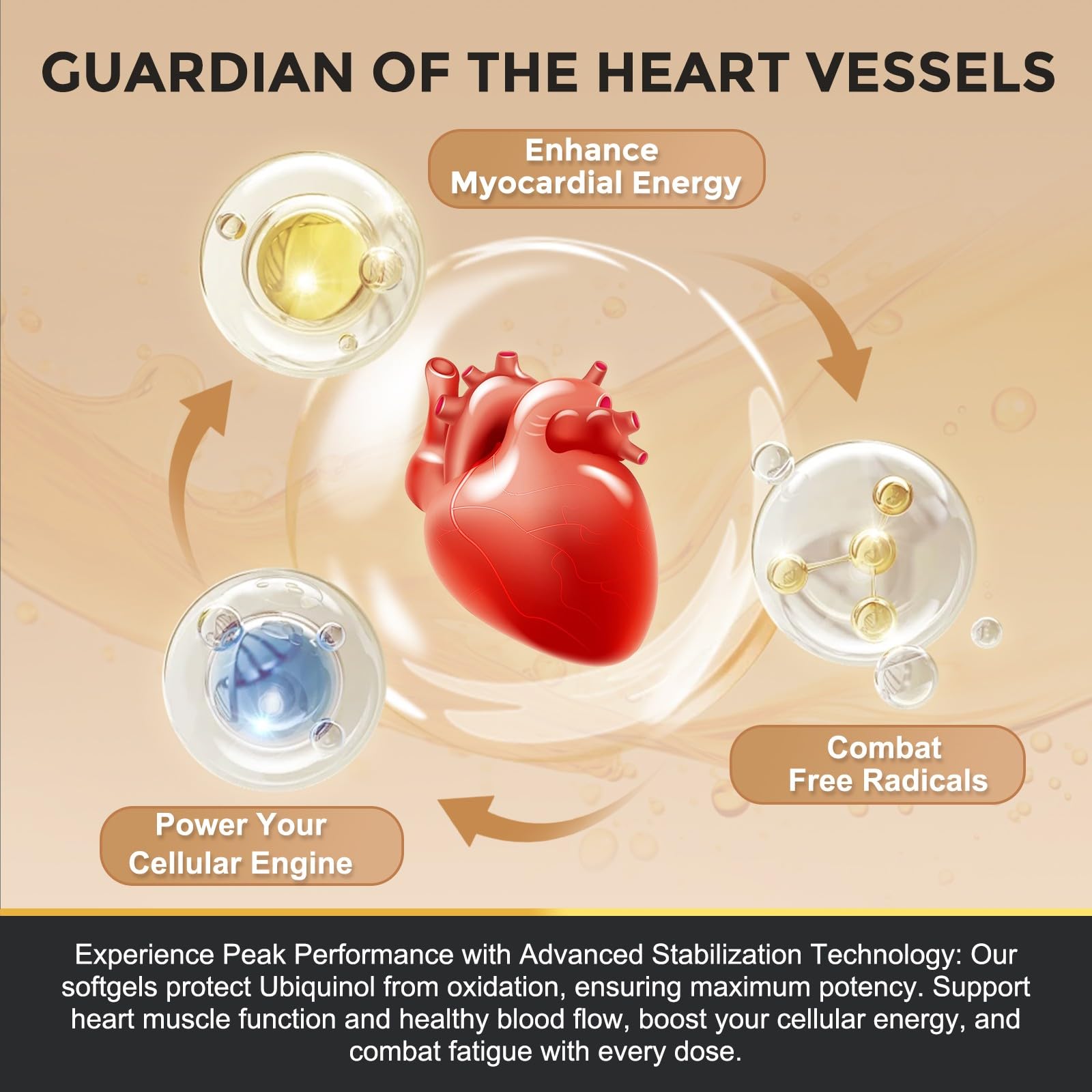 CoQ10 with Vitamin E and Selenium for immune support