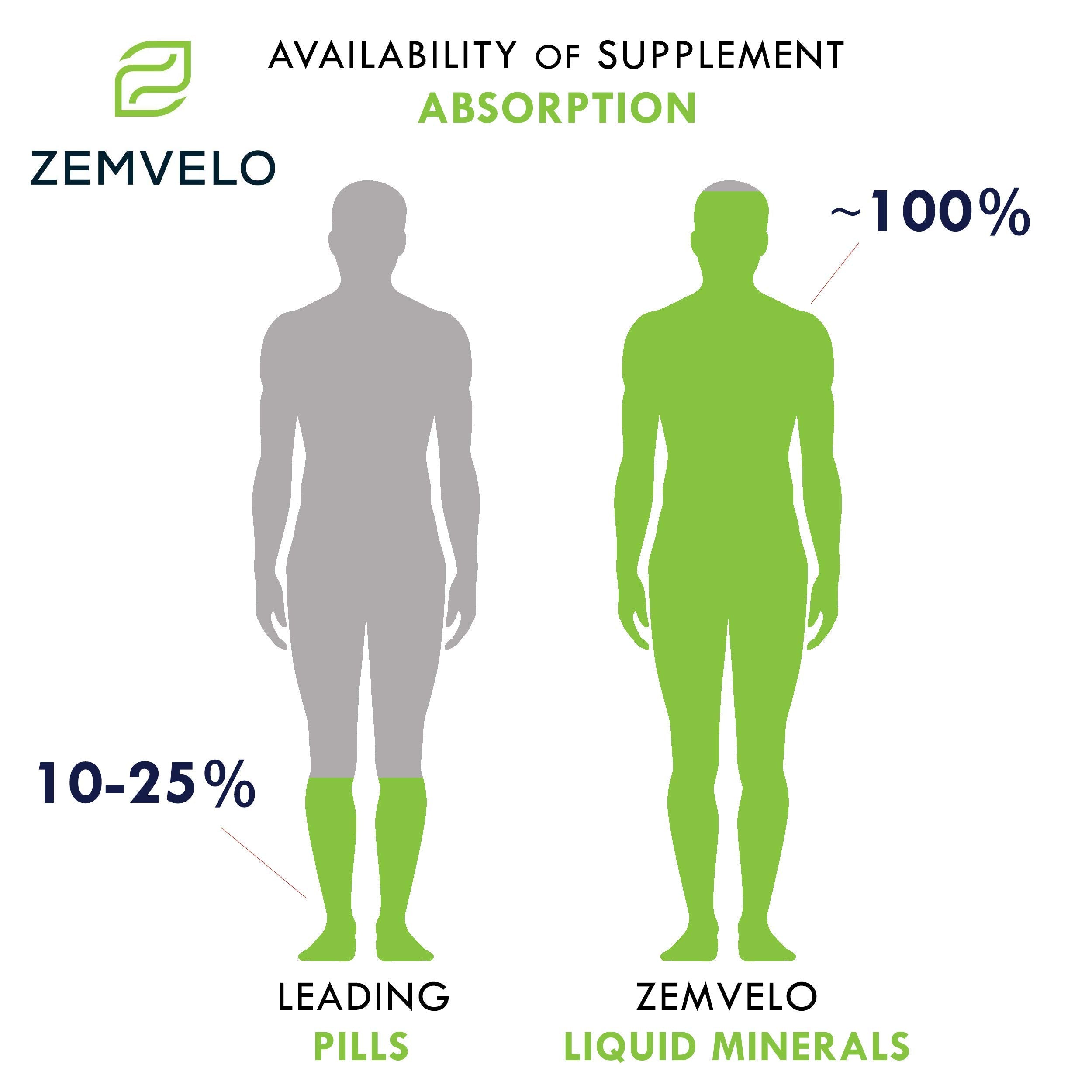 Illustration of joints and cartilage with Zemvelo silica