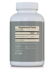 Beef cattle grazing on New Zealand pastures