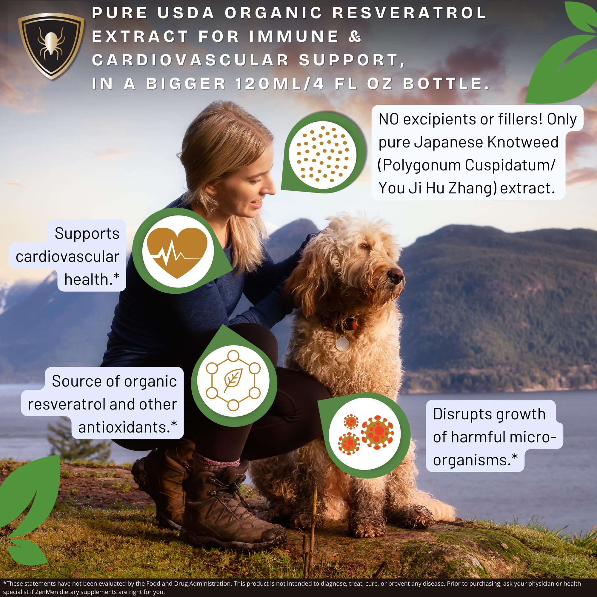 Zenmen Knotweed tincture 120ml bottle