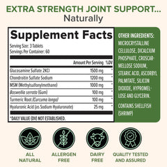 Close-up of ingredients Glucosamine, Chondroitin, and MSM