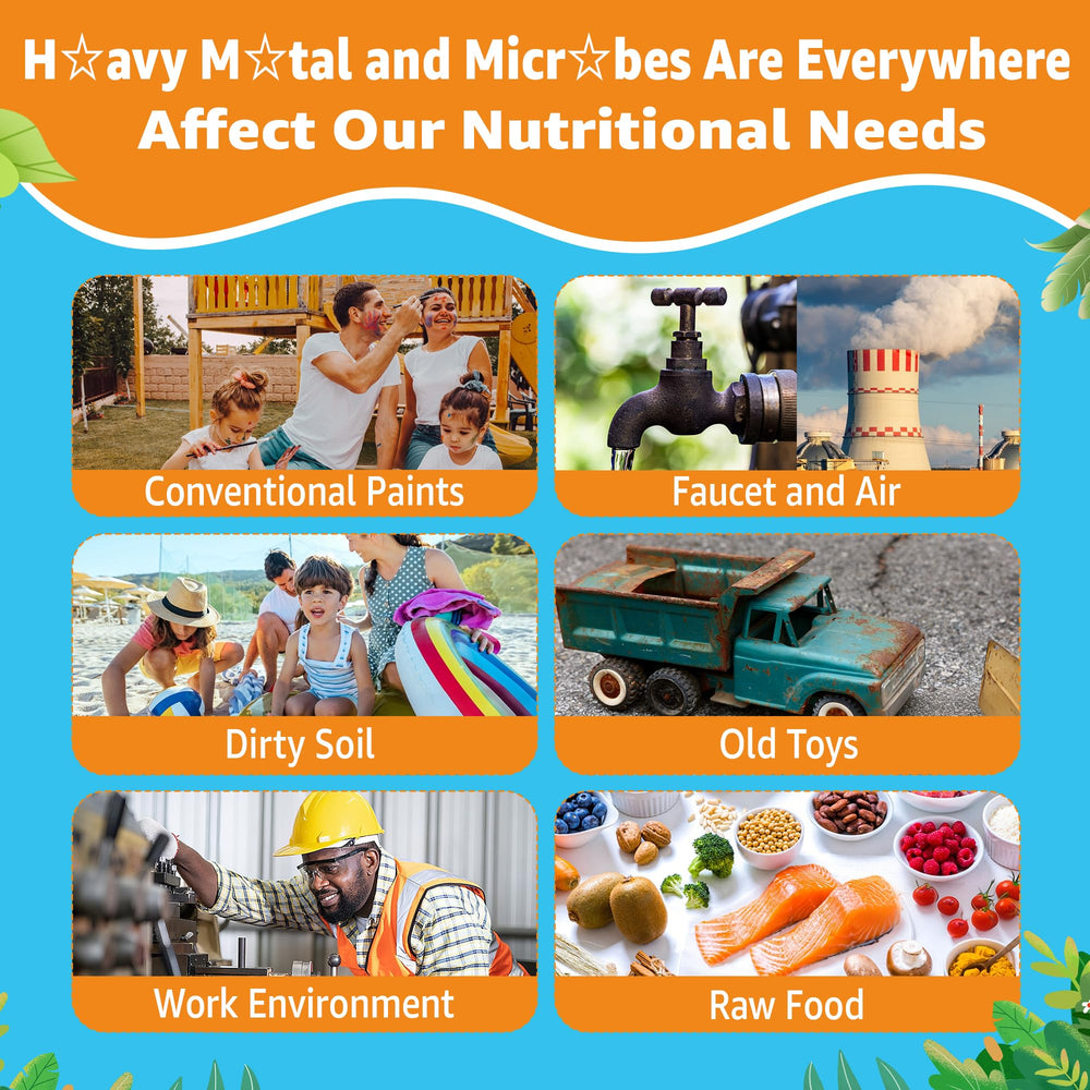 Close-up of zeolite, chlorella, and spirulina ingredients