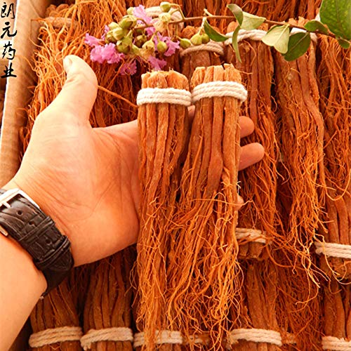 Origin Changbaishan, China red Korean ginseng roots display