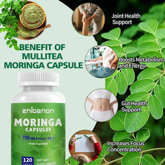 Pure Moringa oleifera leaf extract in capsules