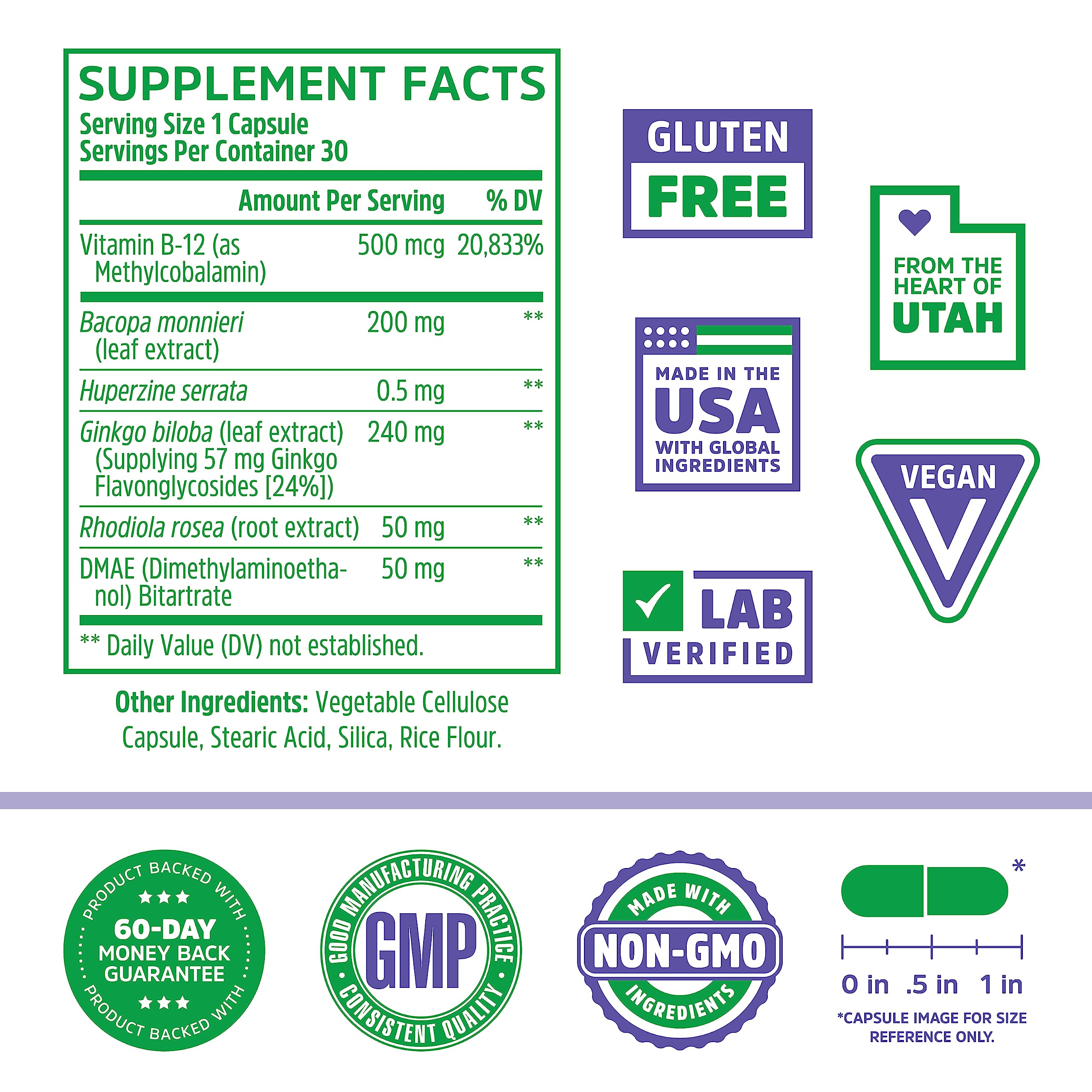 Key ingredients graphic showing Bacopa monnieri, Ginkgo biloba, Rhodiola rosea, and Vitamin B12
