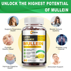 Capsules close-up of mullein leaf extract