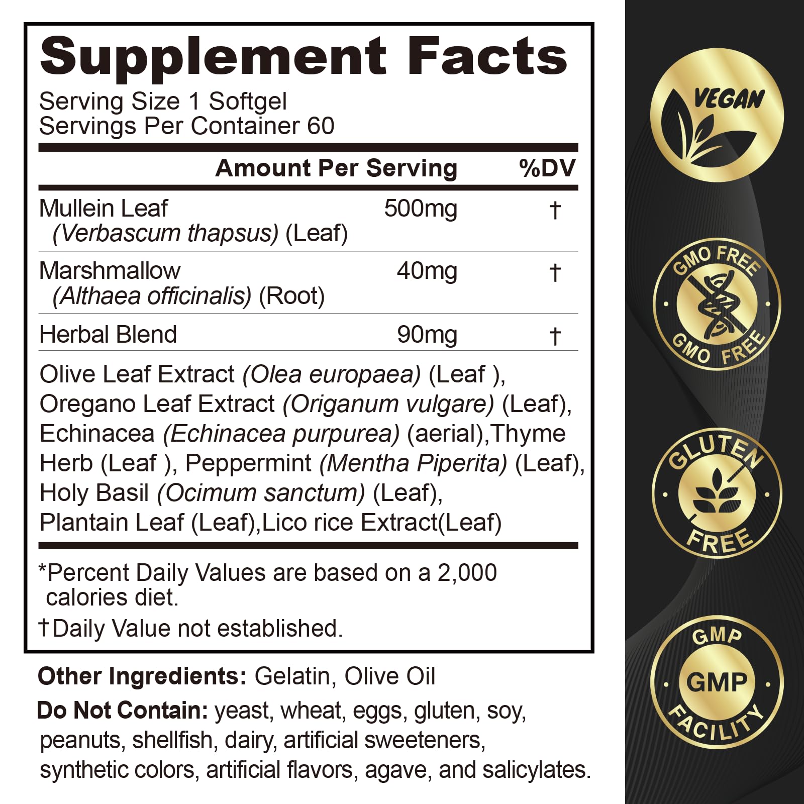 Healthy lungs and clear airways illustration