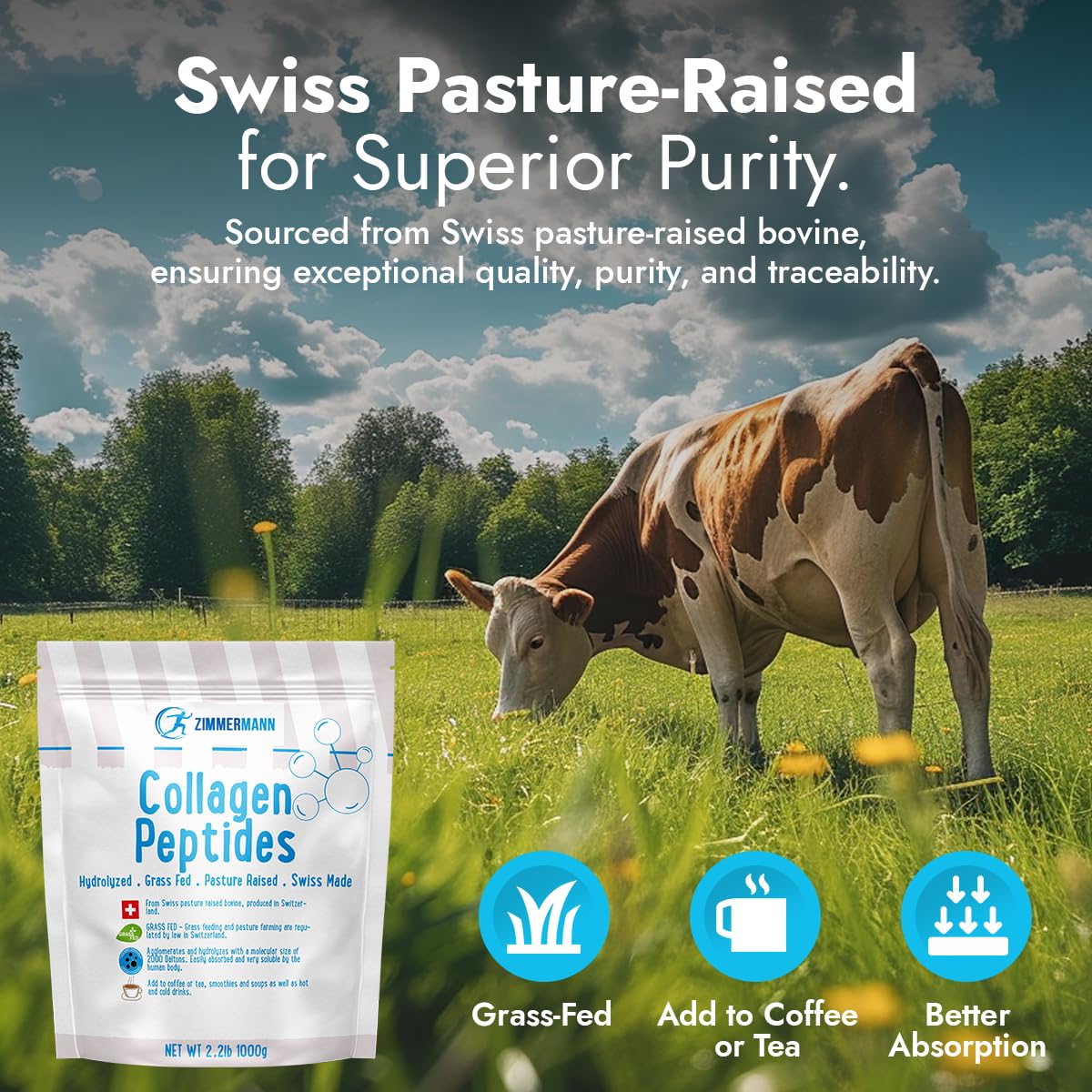 Hydrolyzed collagen peptides for easy absorption