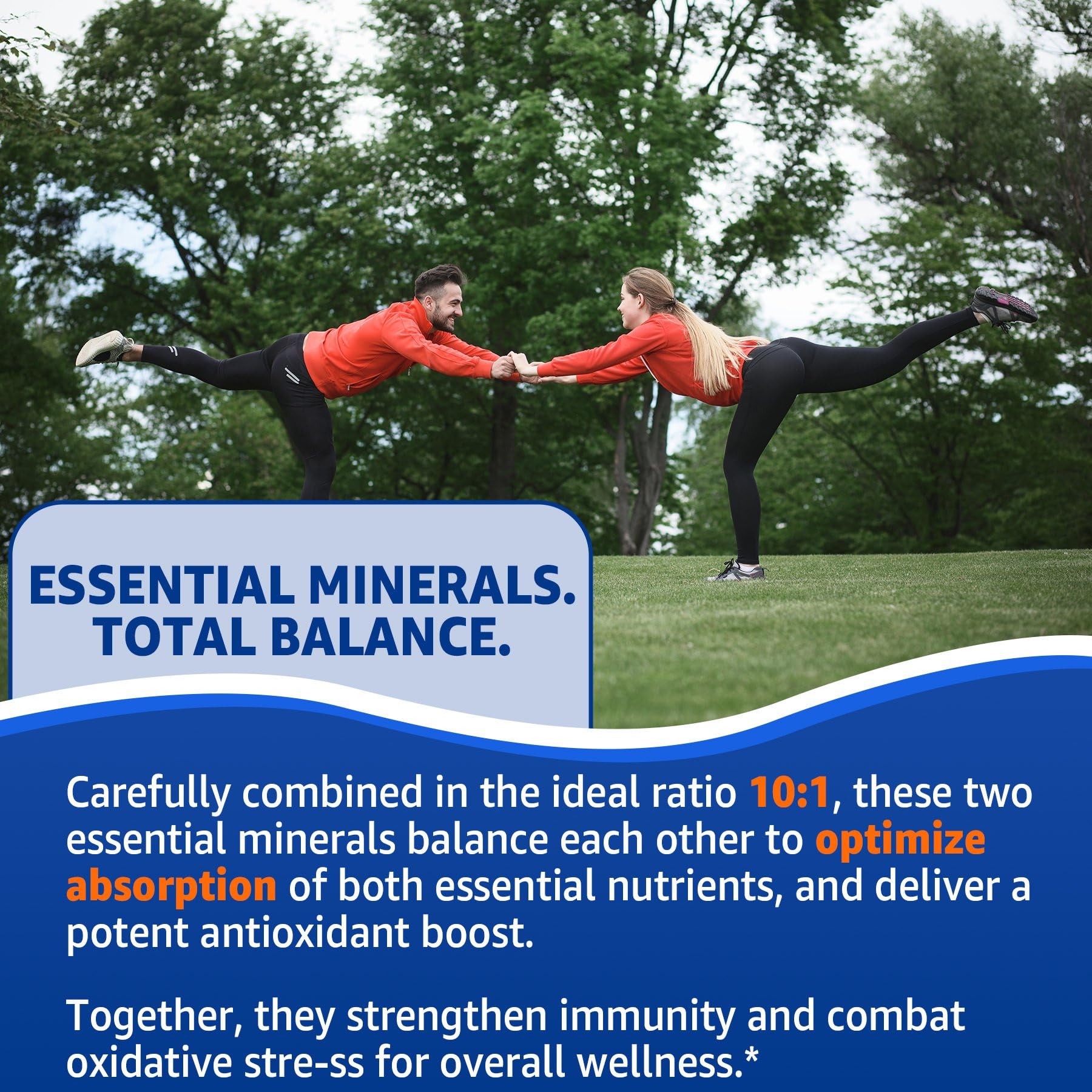 Vitamin B6 and energy metabolism related graphic