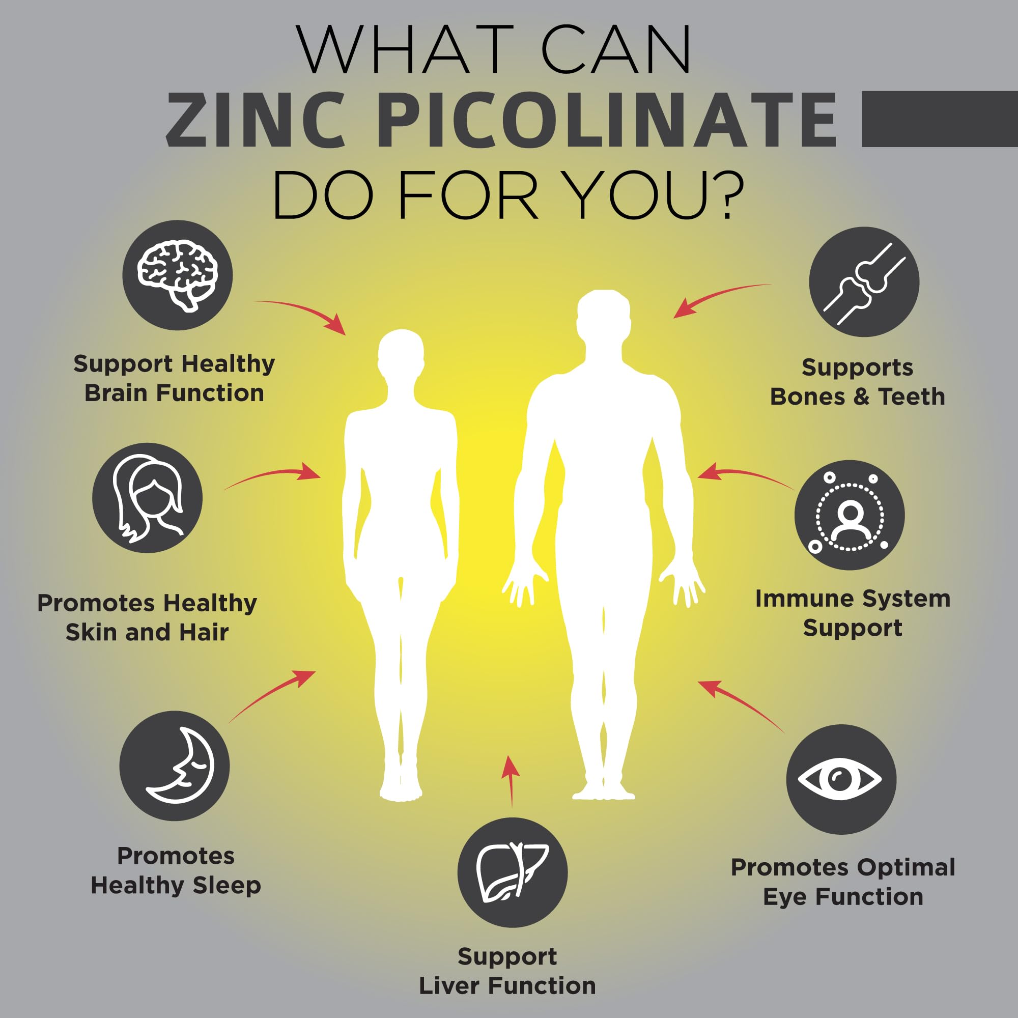 Zinc Picolinate supporting immune system and energy