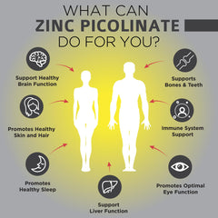 Zinc Picolinate supporting immune system and energy