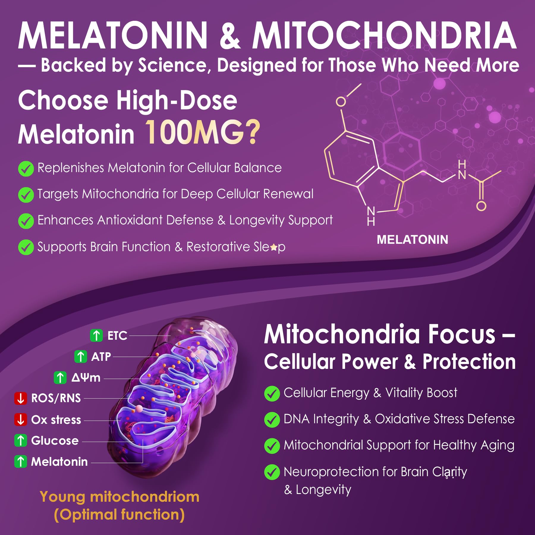 Zinc and Selenium supporting DNA synthesis
