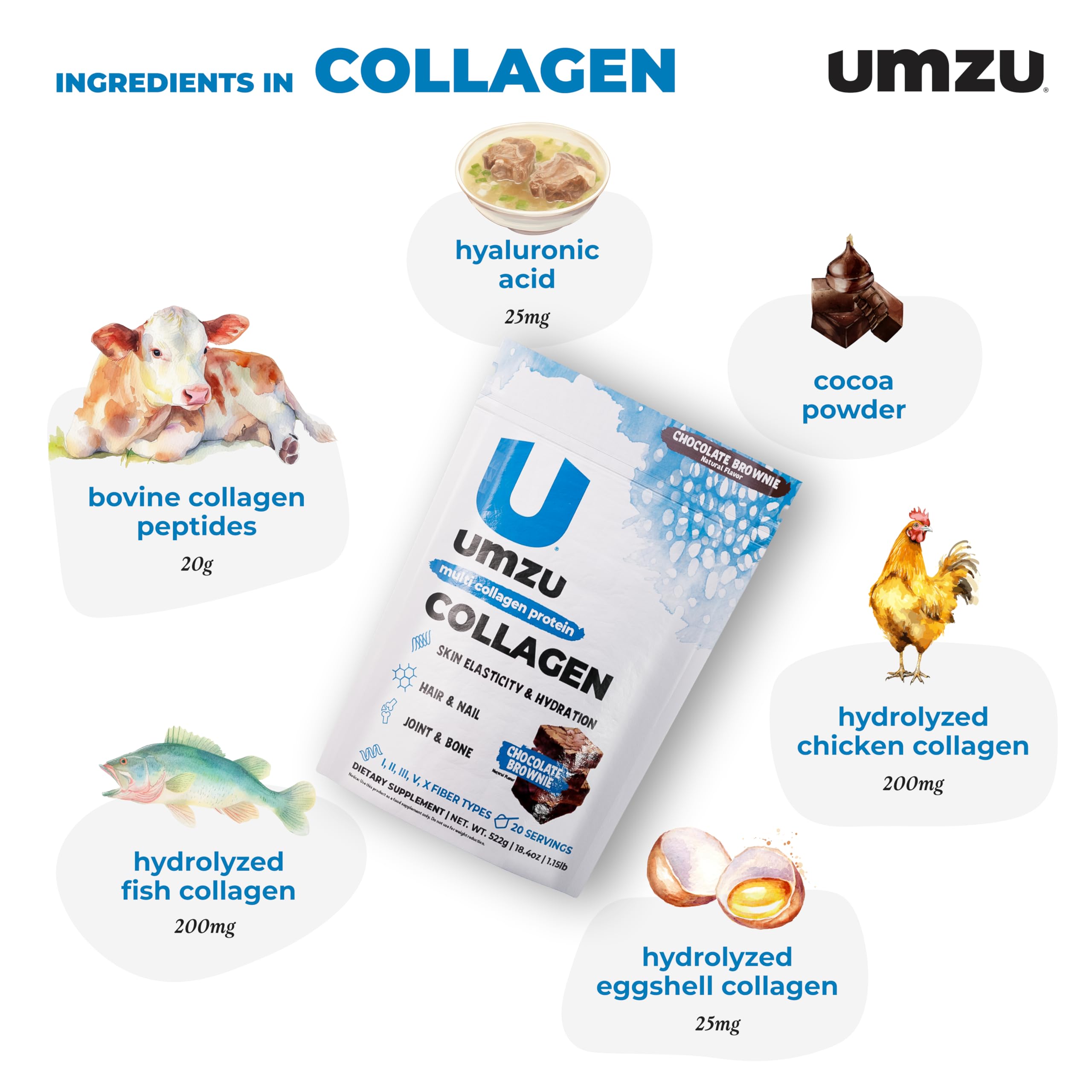 Infographic showing 5 types of hydrolyzed collagen peptides