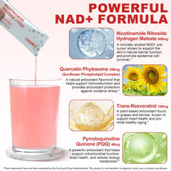 Liquid NAD+ absorption and bioavailability infographic