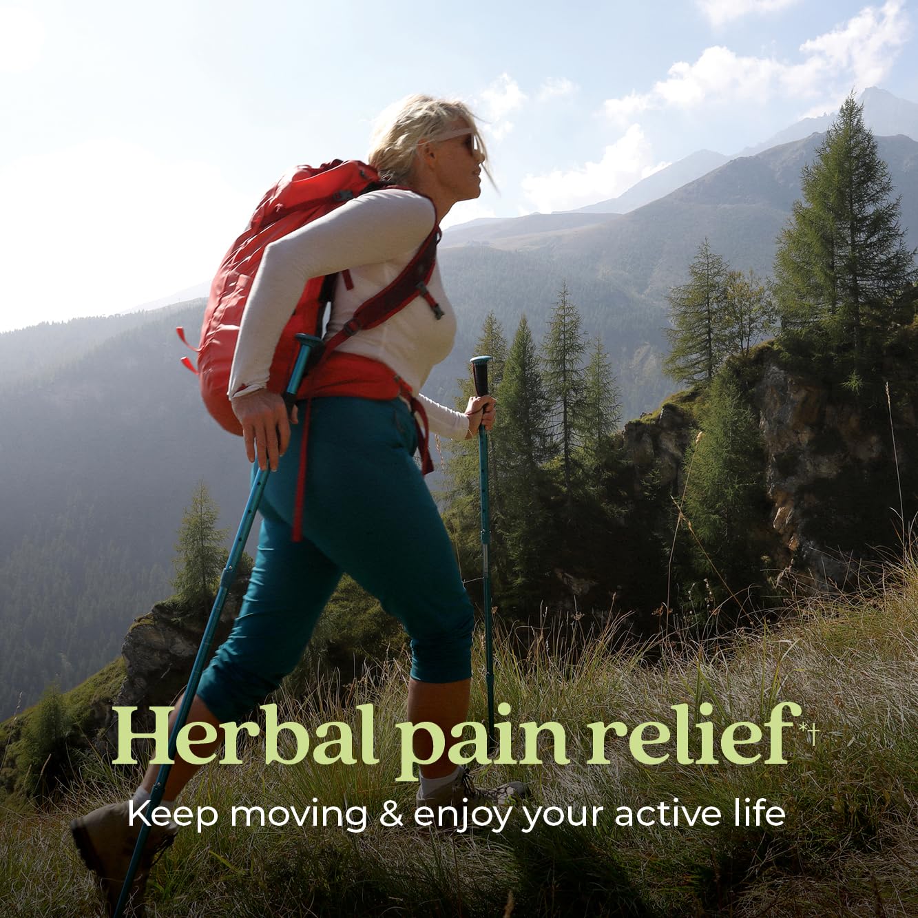 New Chapter Zyflamend herbal reliever non-GMO and vegetarian label