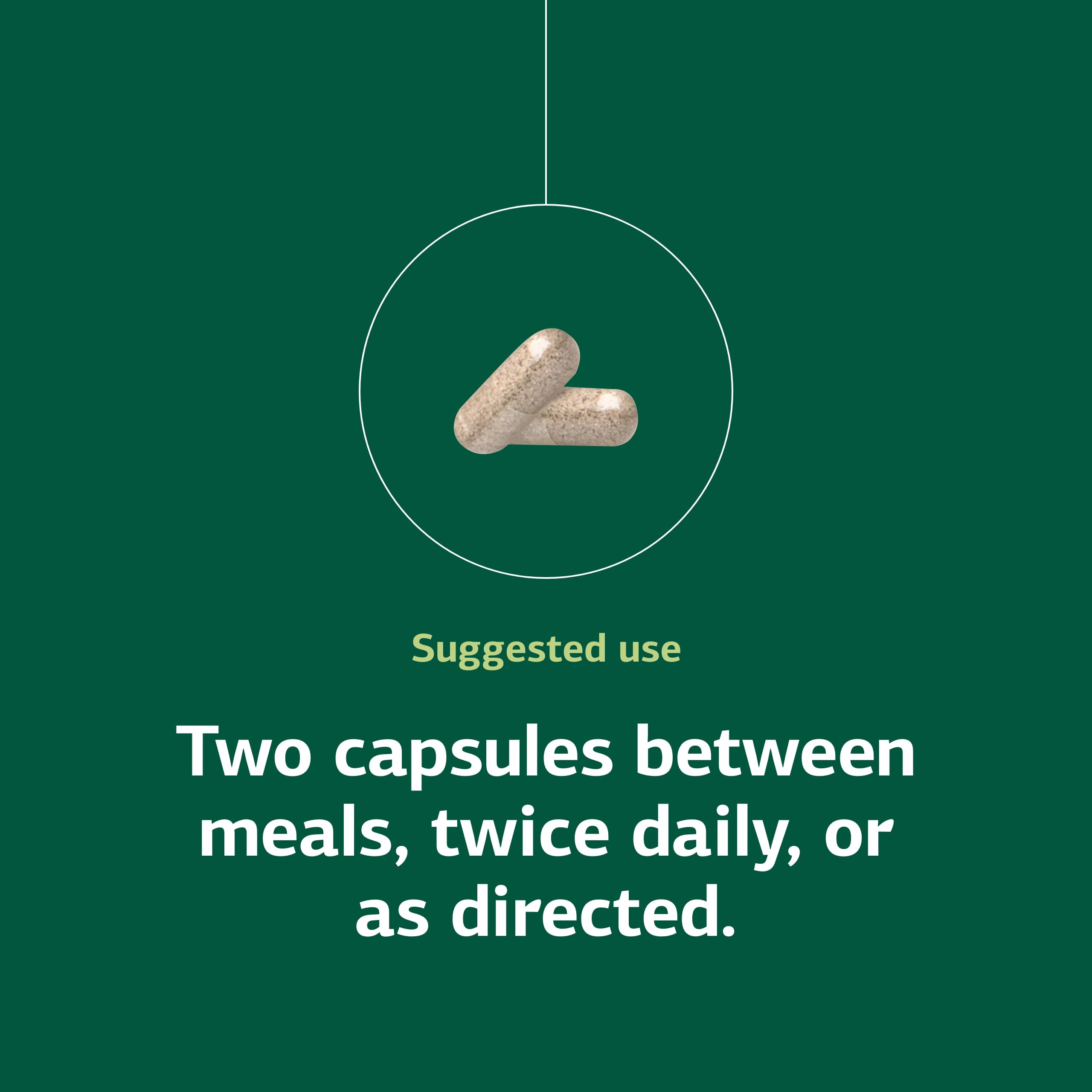 GI support and gut microbiota concept